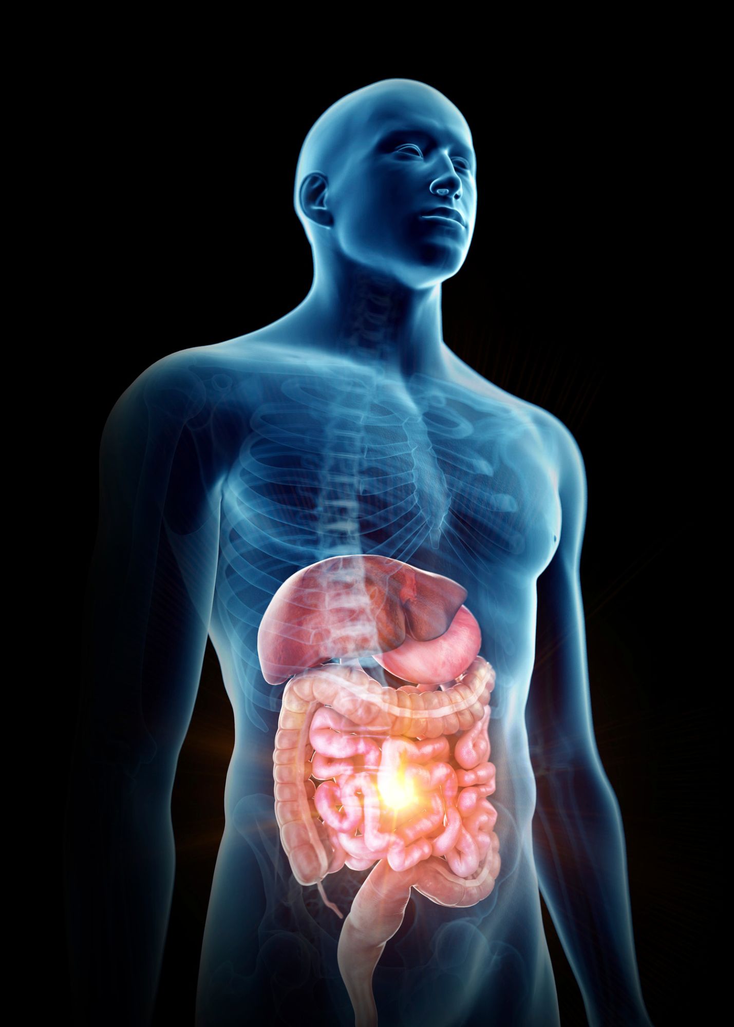 Gut lining gut health Gut lining gut health